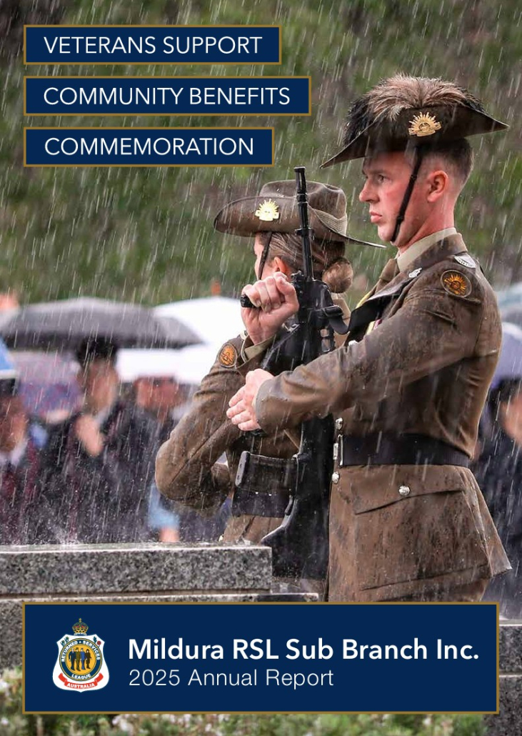 cover 2025 annual report